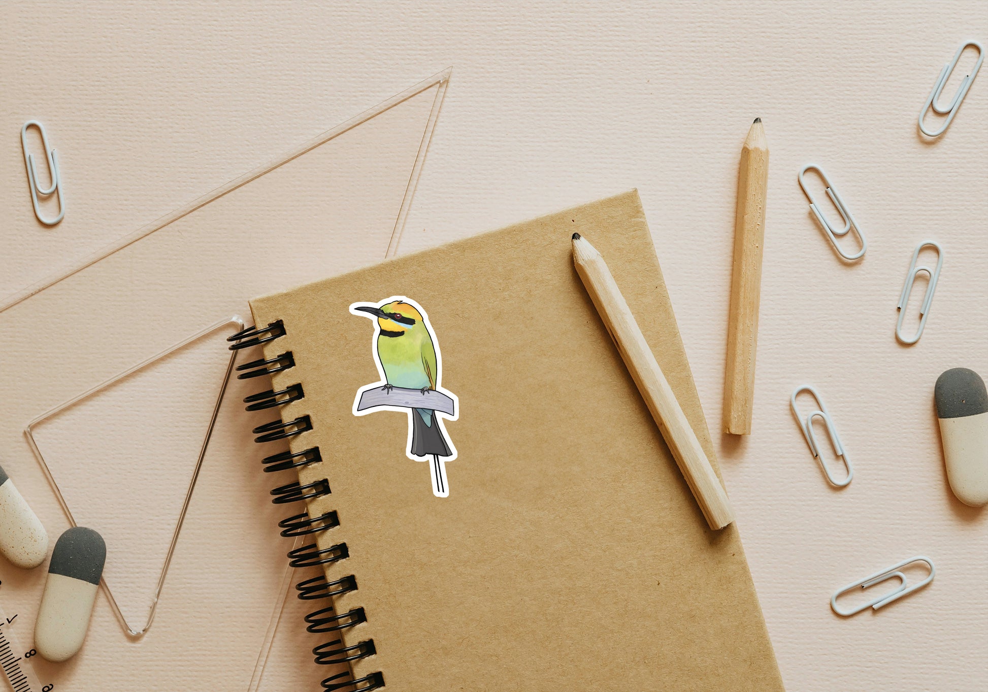 18. Rainbow Bee-eater