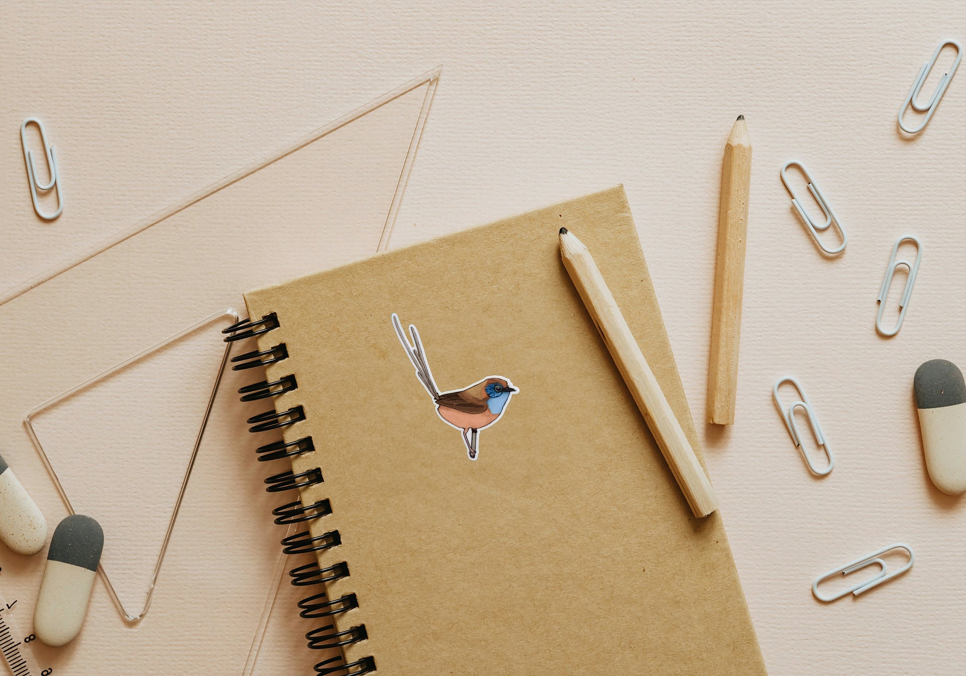 2. Southern Emu-wren