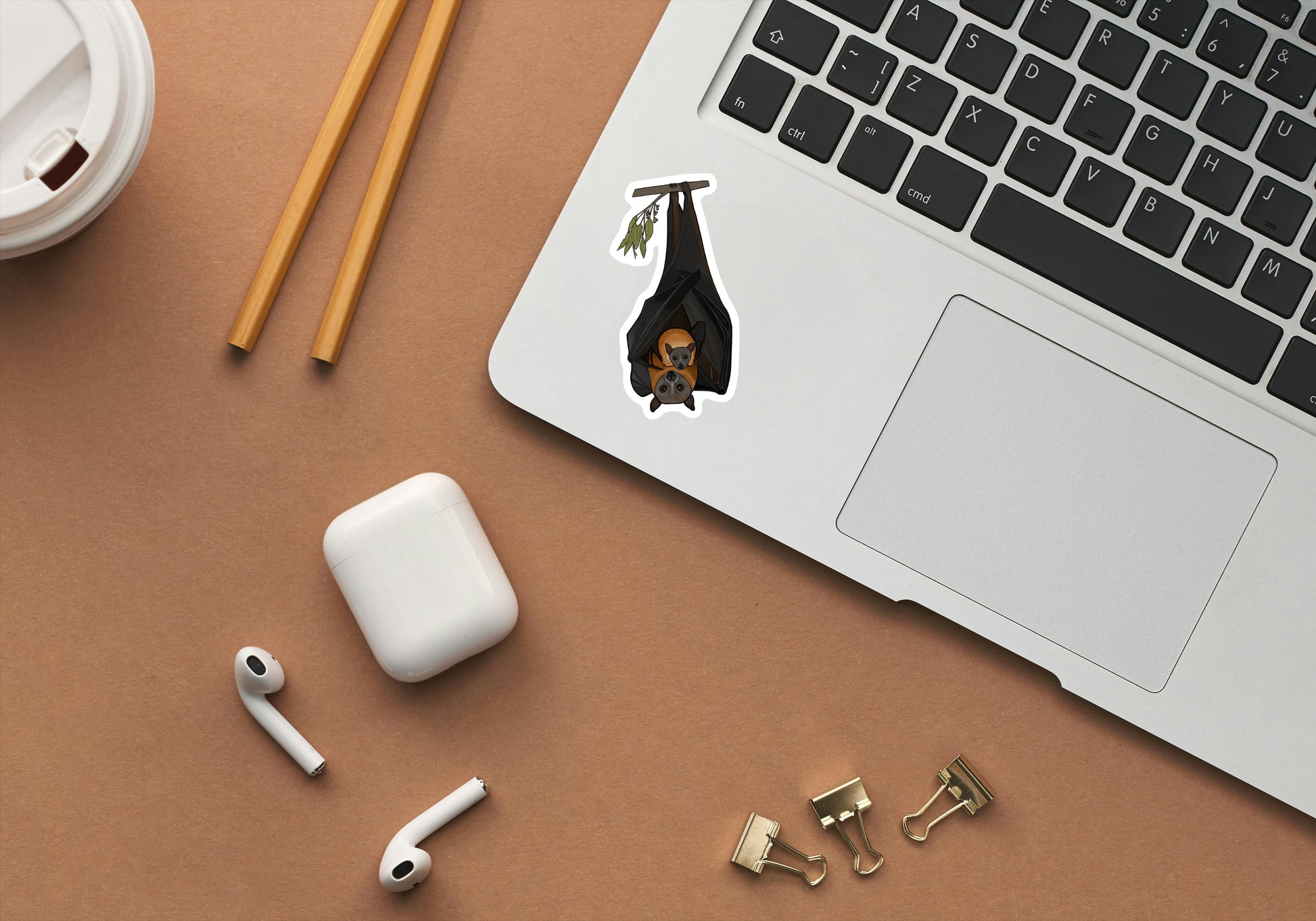 Flying Fox & Baby Laptop.jpg