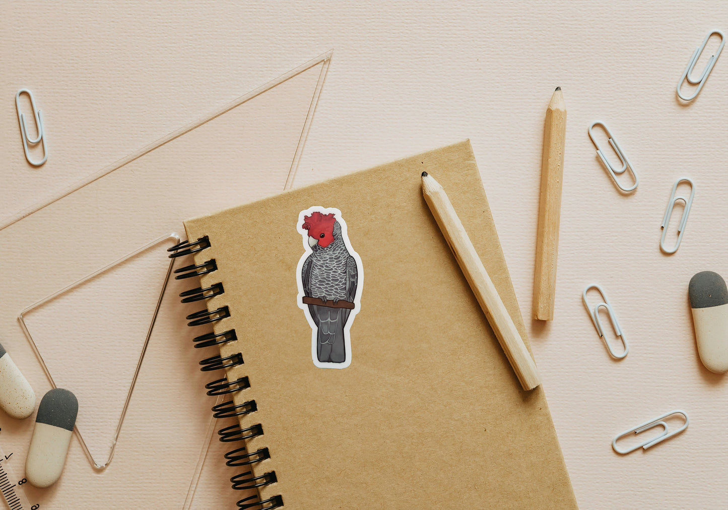 11.Gang Gang Cockatoo