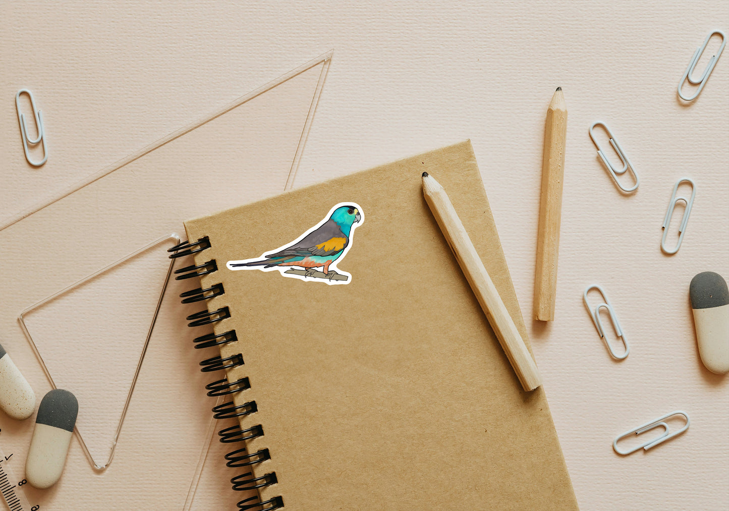 Golden-Shouldered Parrot