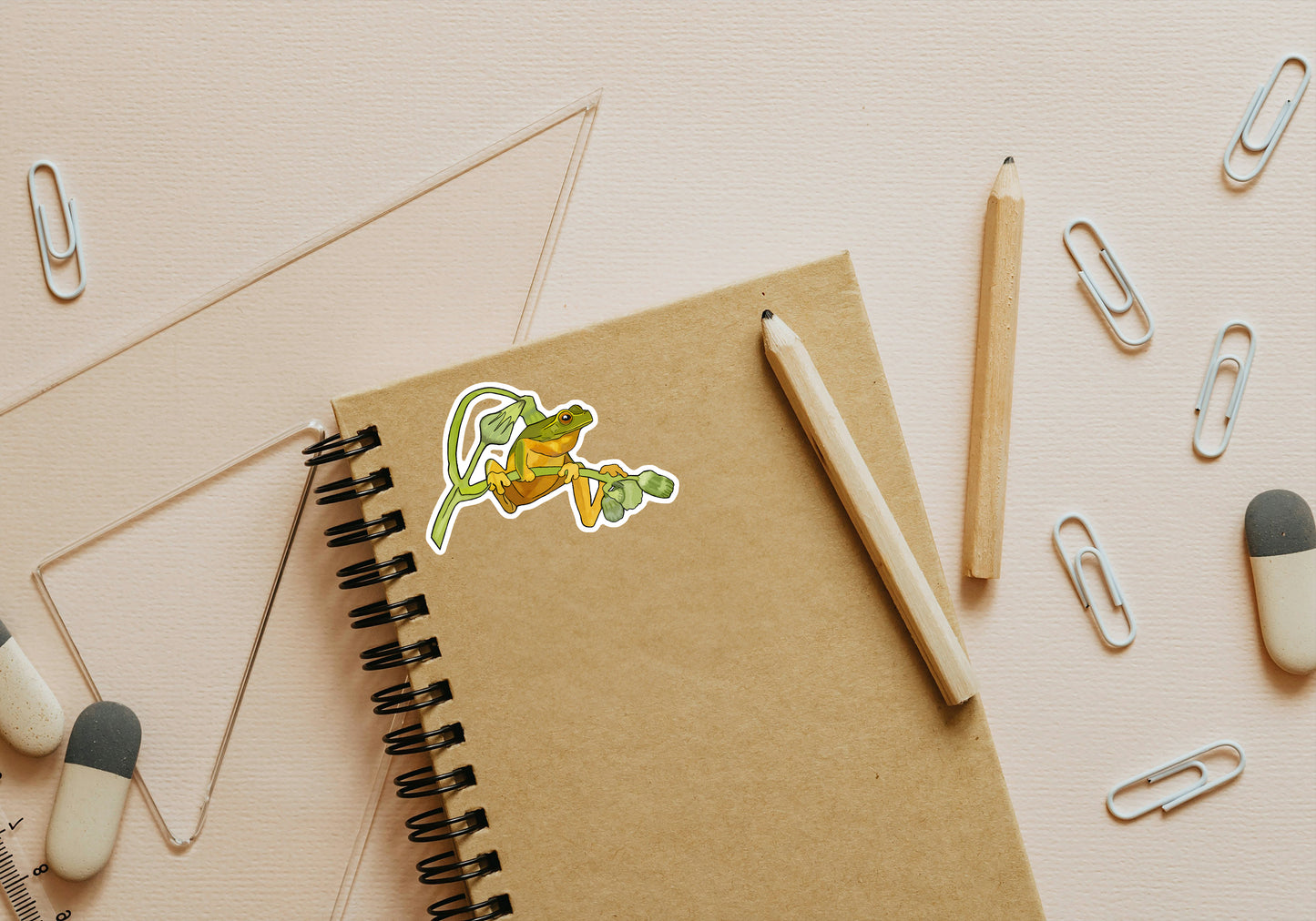 Australian Wildlife Stickers 5 pack (Custom)