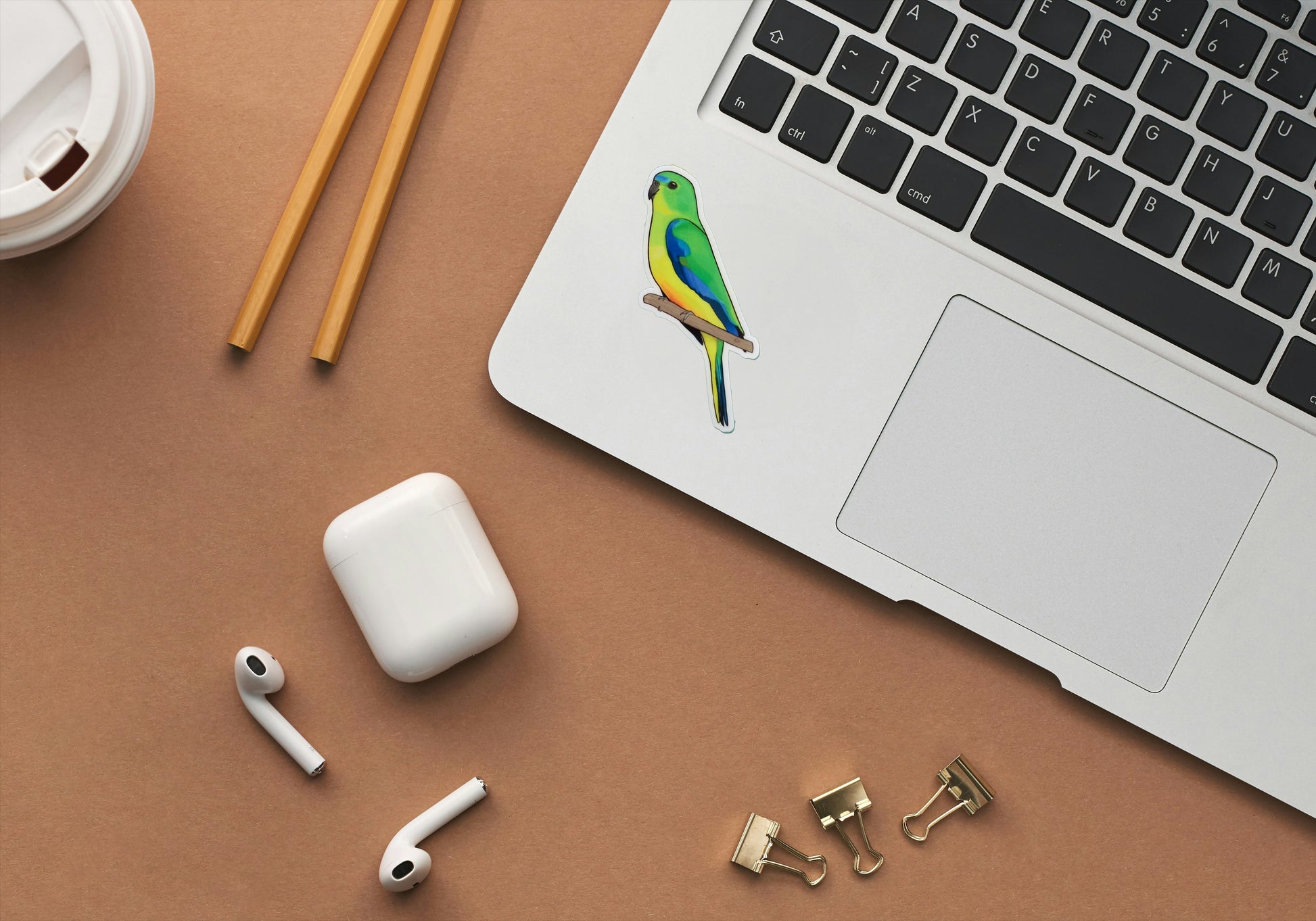 6. Orange Bellied Parrot