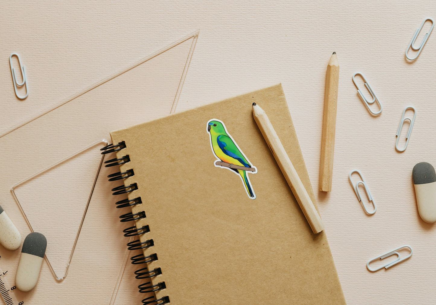 Orange Bellied Parrot