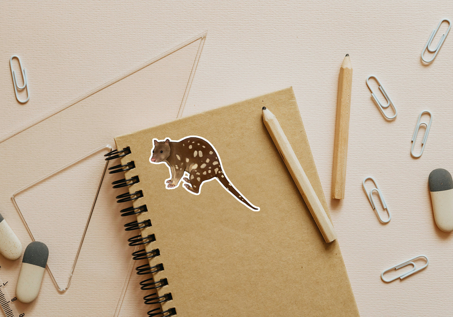 Australian Wildlife Stickers 5 pack (Custom)