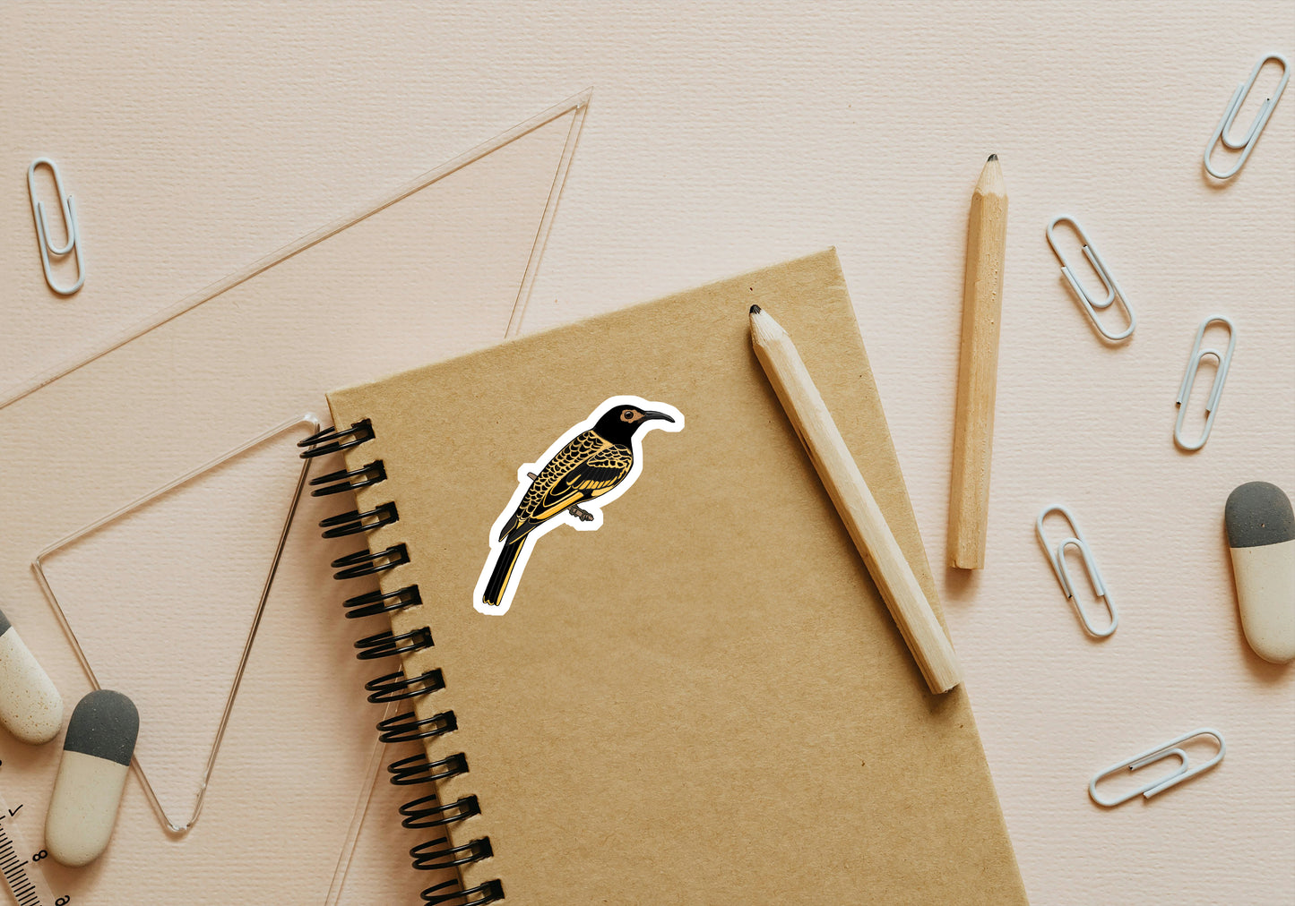 15.Regent Honeyeater