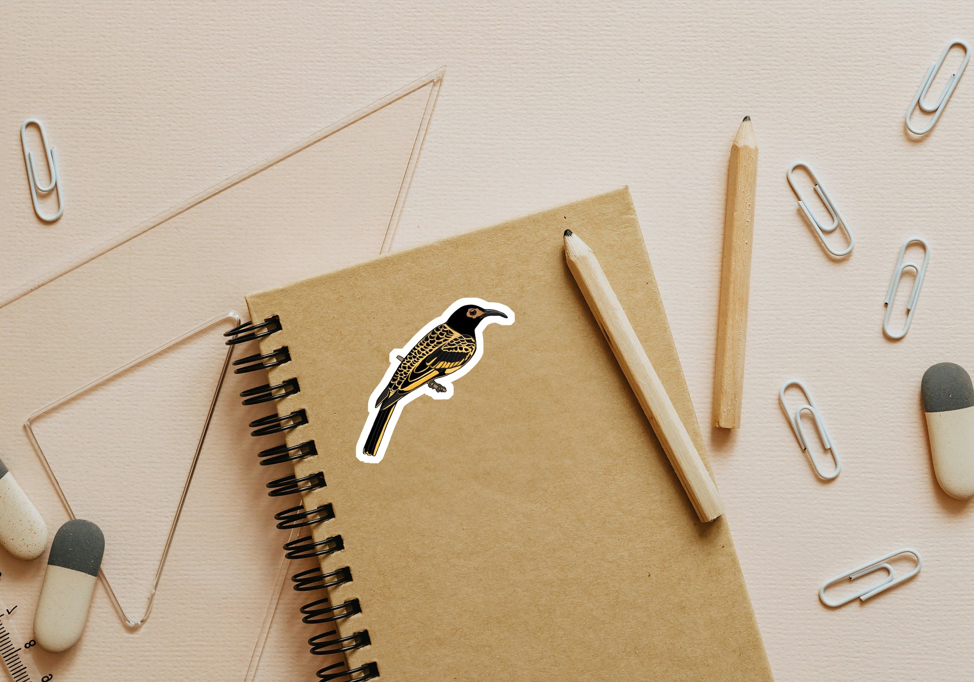 15.Regent Honeyeater