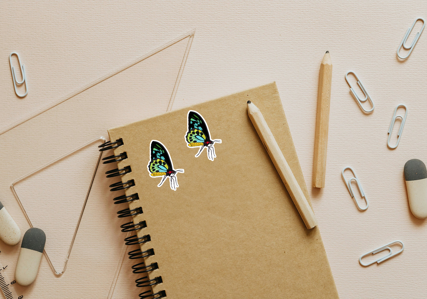 22. Richmond Birdwing Butterfly Pair