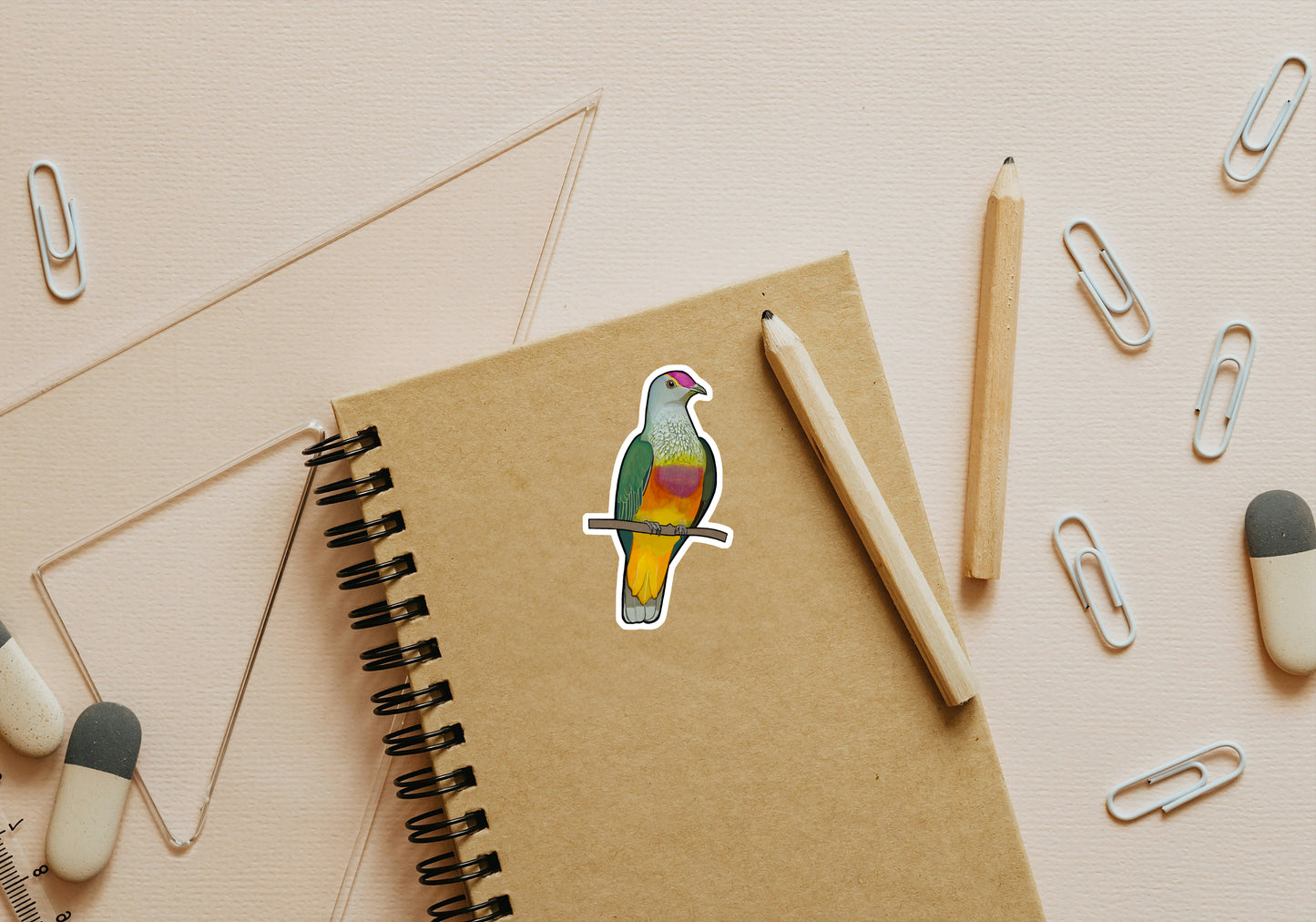 Rose Crowned Fruit Dove