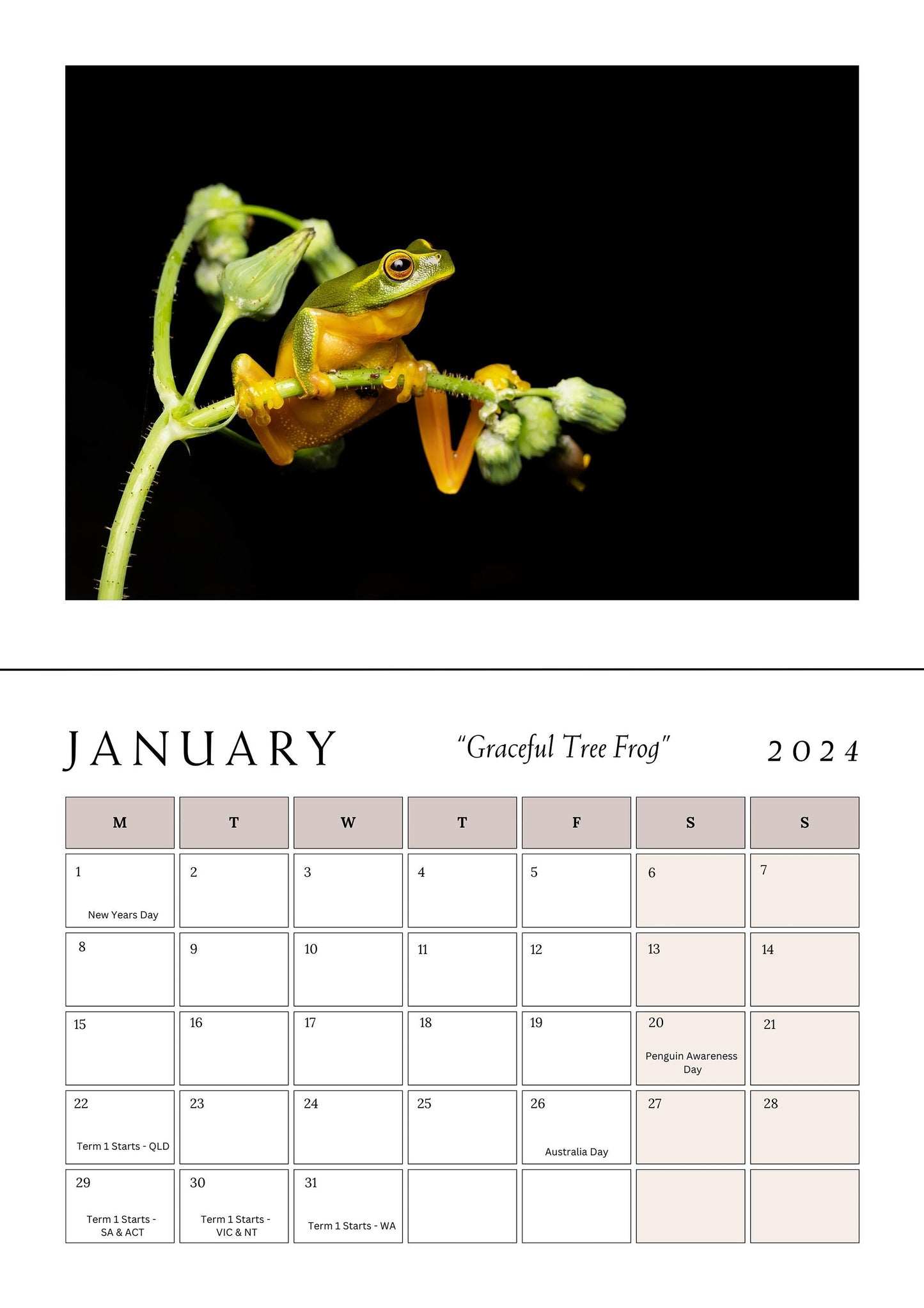 Wildlife of Australia Calendar 2024 "Shipping Now"