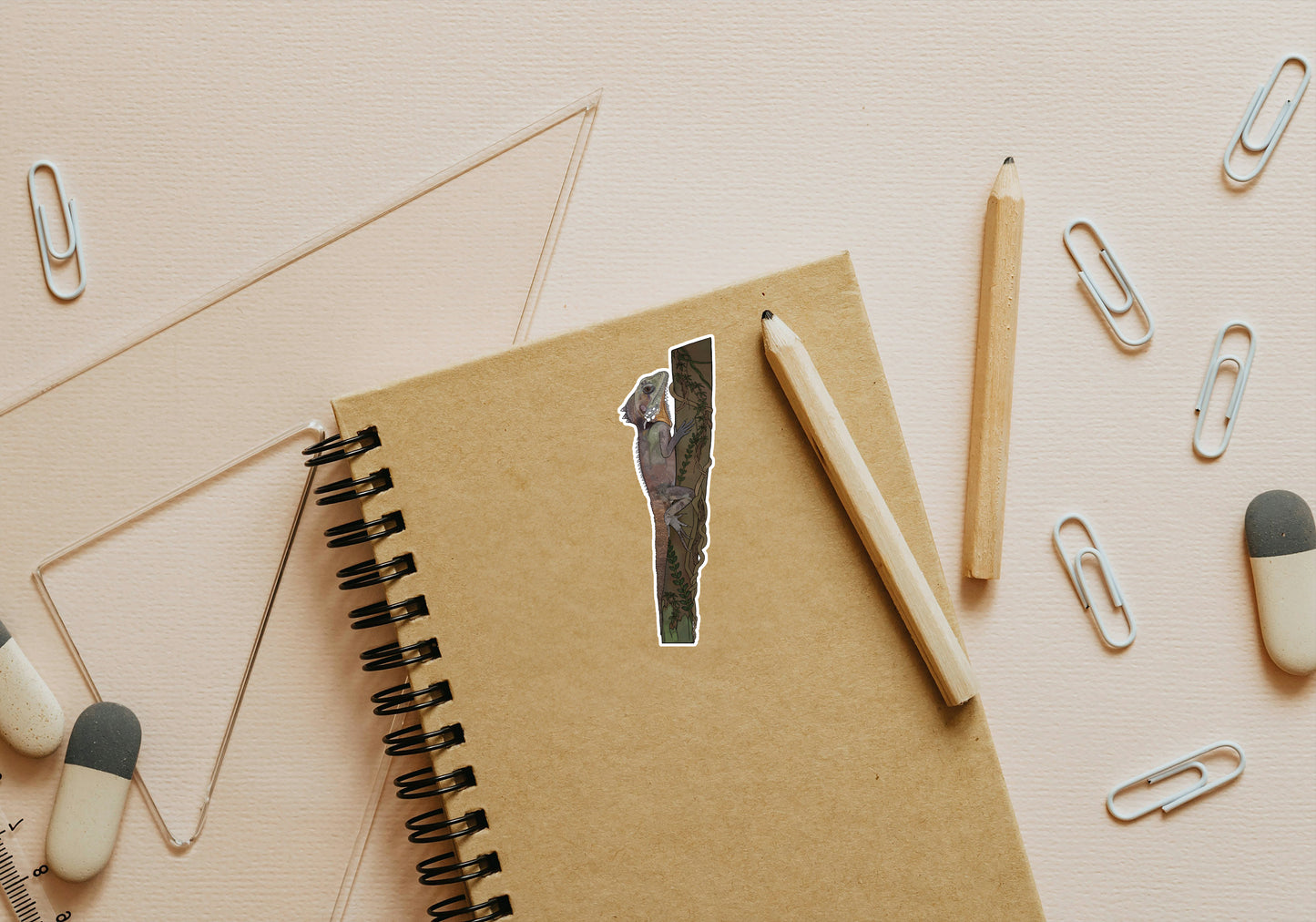 Australian Wildlife Stickers 5 pack (Custom)