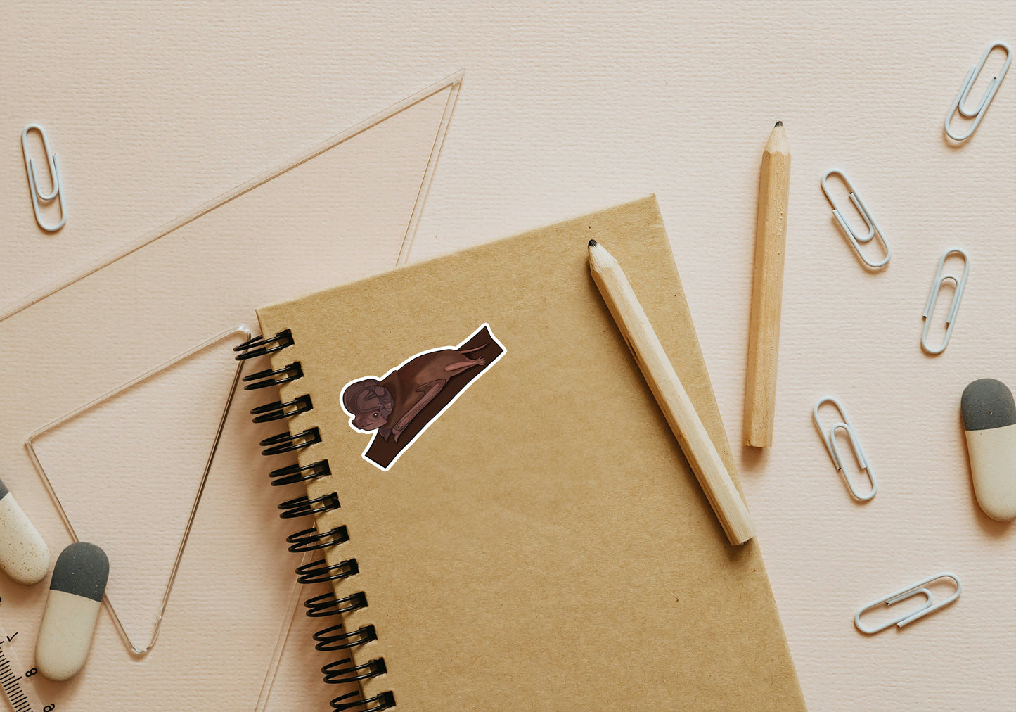 Australian Wildlife Stickers 5 pack (Custom)