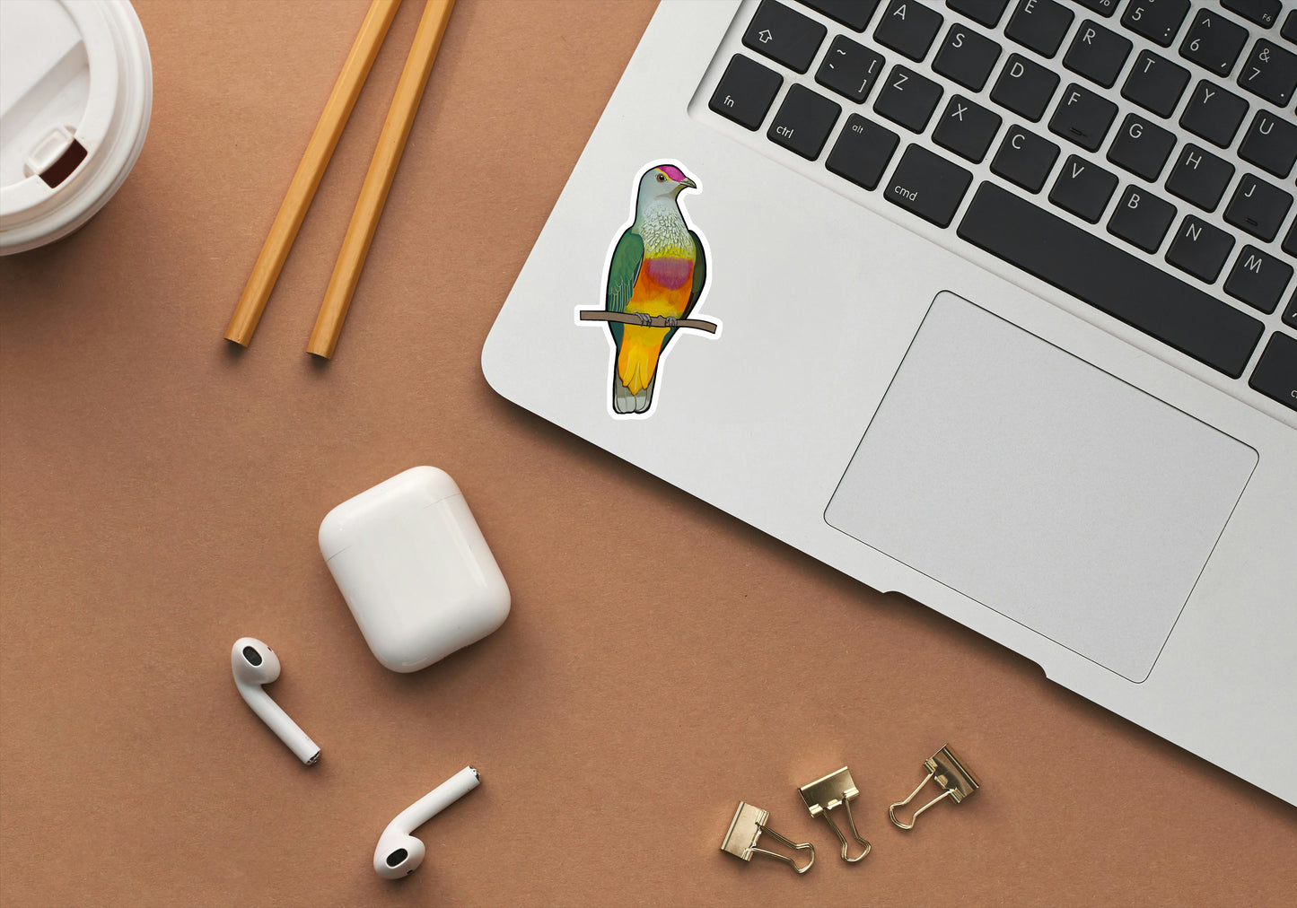 Best Selling Bird Stickers - 5 Pack