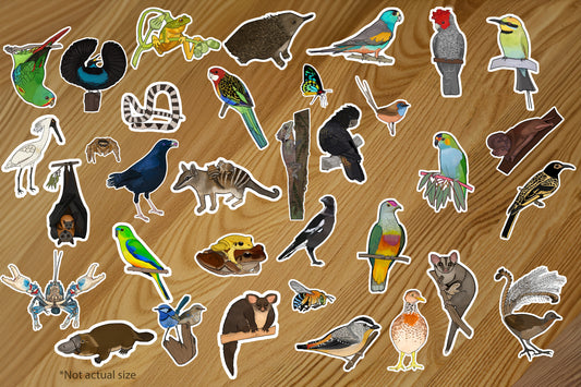 Australian Wildlife Stickers 5 pack (Custom)