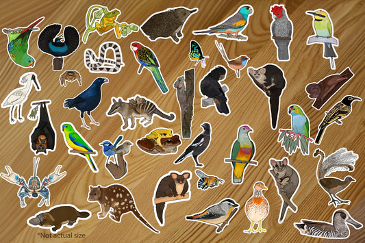 Australian Wildlife Stickers 5 pack (Custom)