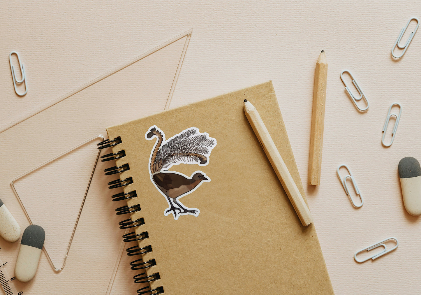 Best Selling Bird Stickers - 5 Pack