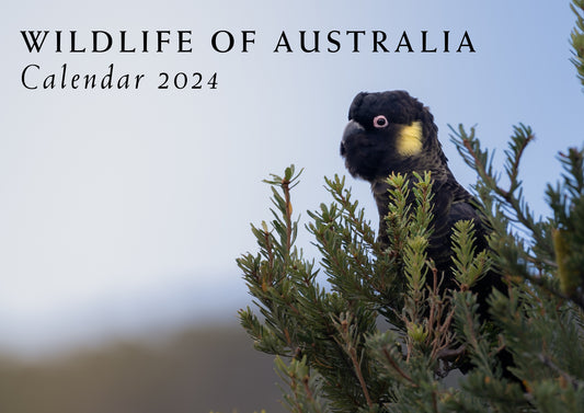 Wildlife of Australia Calendar 2024 "Shipping Now"